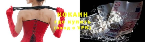 прущие крисы Вяземский