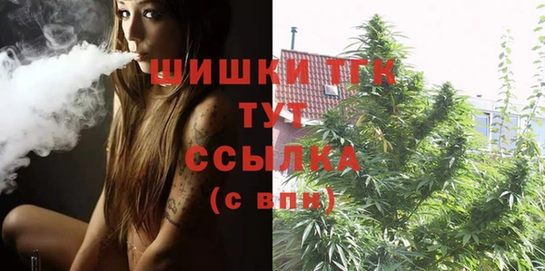 ПСИЛОЦИБИНОВЫЕ ГРИБЫ Михайловка
