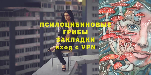 дмт Михайловск