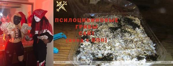 дмт Михайловск
