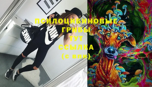 дмт Михайловск