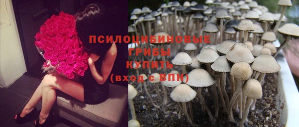 прущие крисы Михайлов