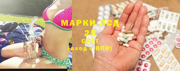 ПСИЛОЦИБИНОВЫЕ ГРИБЫ Михайловка