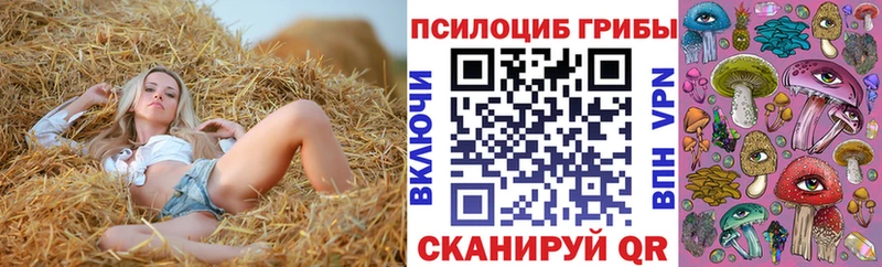 Псилоцибиновые грибы Magic Shrooms  где найти   Жердевка 