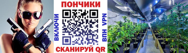 darknet Telegram  Жердевка  Бошки марихуана гибрид 